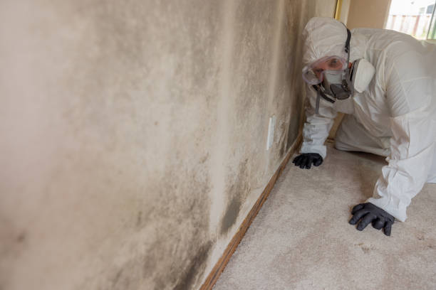 Best Mold Remediation for Healthcare Facilities  in Germantown, WI